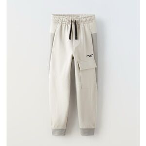 Zara pants